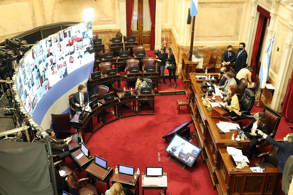 Sesión virtual en Senado, NA	