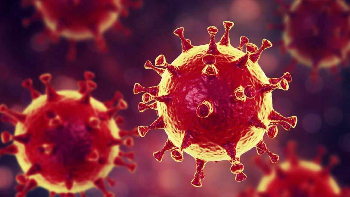 Coronavirus en el mundo, pandemia