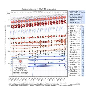 Graficos sobre coronavirus en Argentina al 24 de junio de 2020