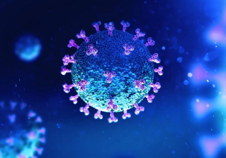 Coronavirus en el mundo, pandemia