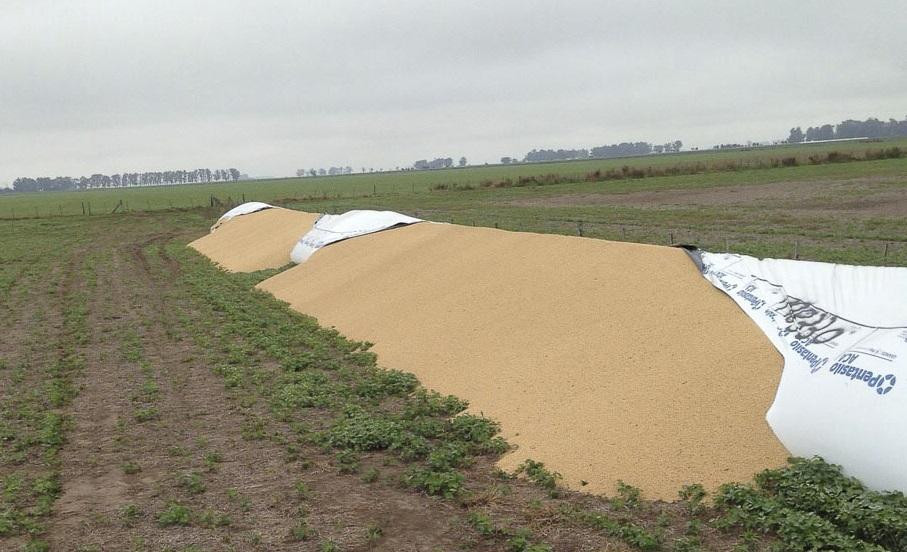 Rotura de silobolsas, campo, economía argentina, Agencia NA