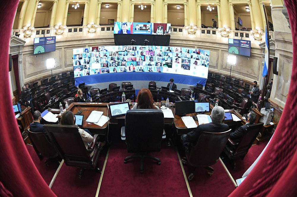 Debate en Senado de La Nación, NA