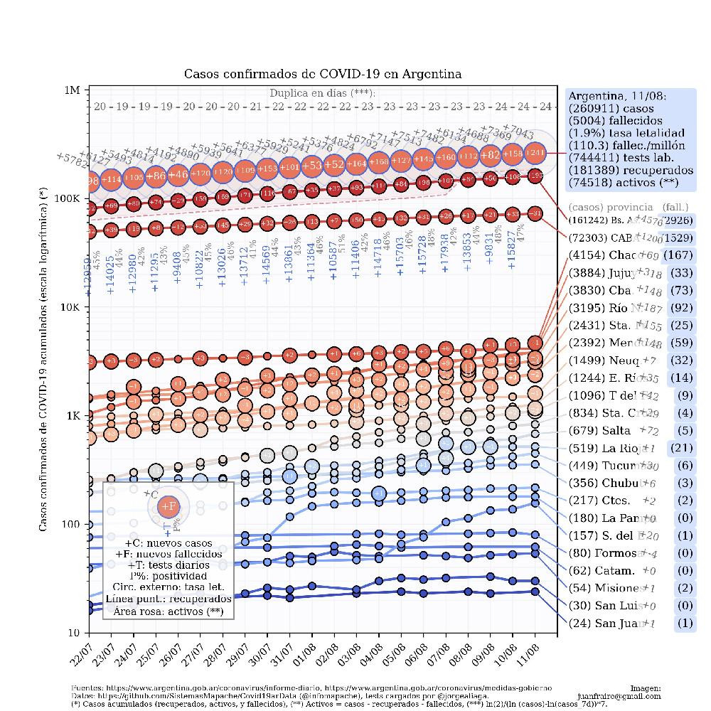 Curva de casos en Argentina actualizada con los reportes matutinos y vespertinos, @TotinFraire - 11-8-2020	