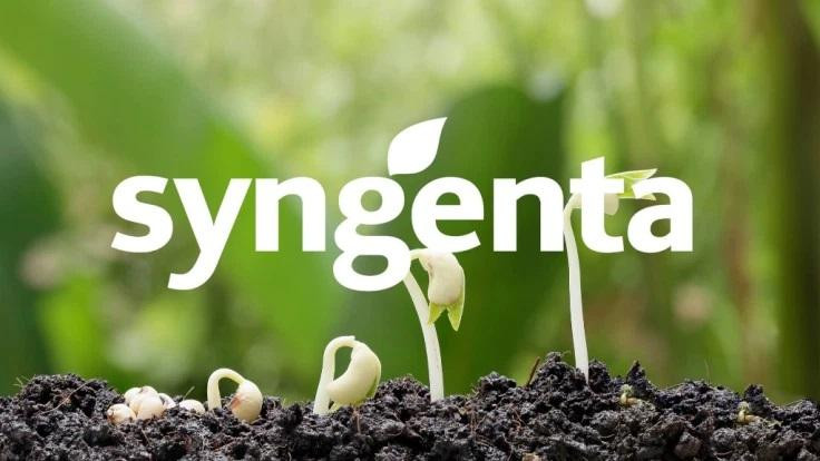 Syngenta