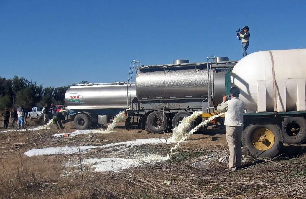 Empresas lácteas prefirieron tirar la leche excedente, NA