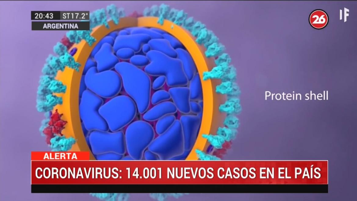 Coronavirus en Argentina, ministerio de salud, CANAL 26