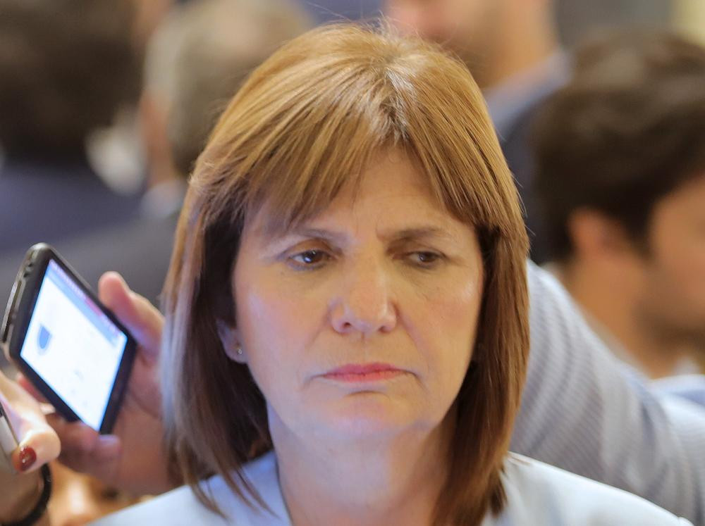 Patricia Bullrich, PRO, NA