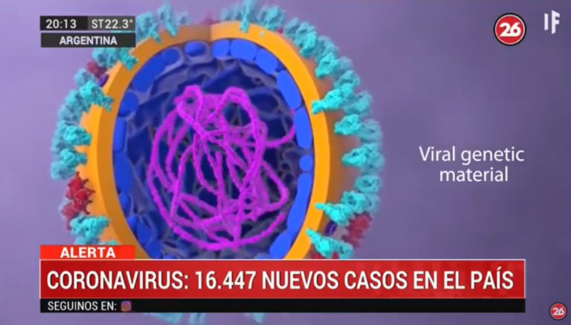 Coronavirus en Argentina, 7-10-2020, CANAL 26