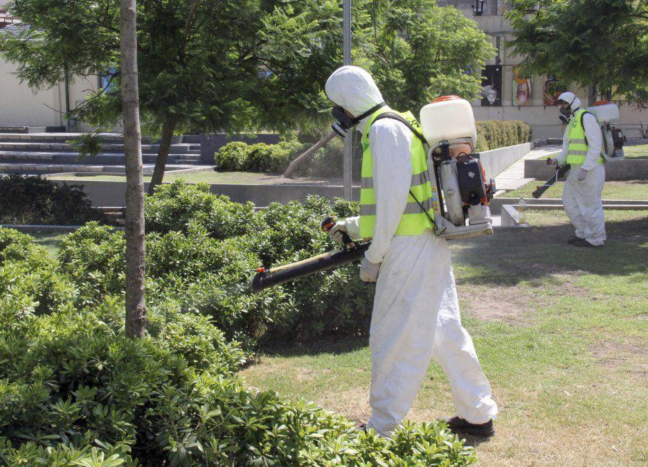 Tareas de fumigación contra el Dengue, NA.