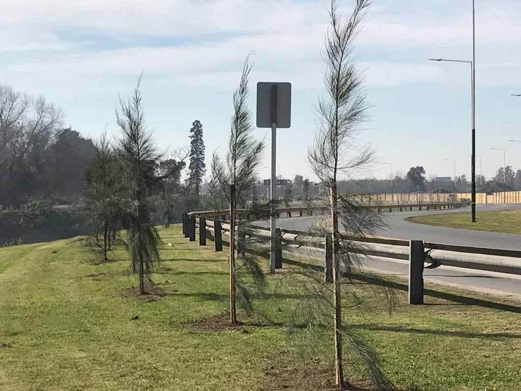 Camino de la Ribera, en Merlo