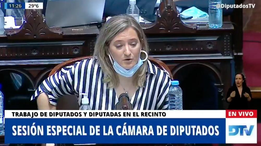 Diputada de la Coalición Cívica Lucila Lehman, debate por el aborto