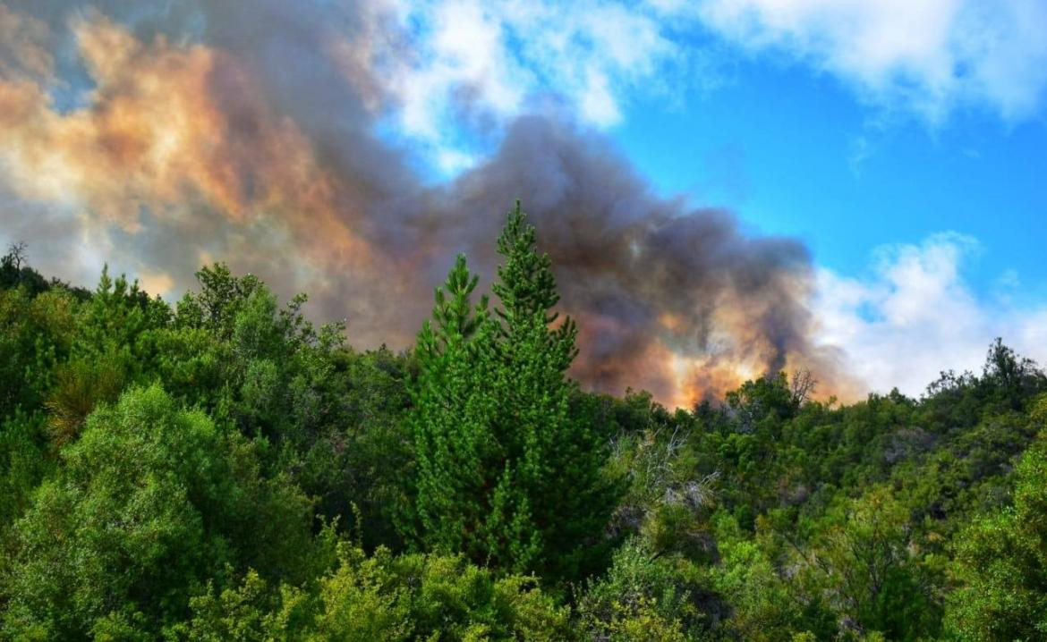 Incendio forestal en el Bolsón