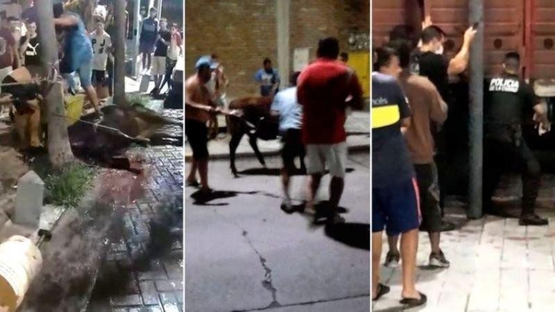 Video: robaron vacas de un camión y las faenaron en las calles de Mataderos