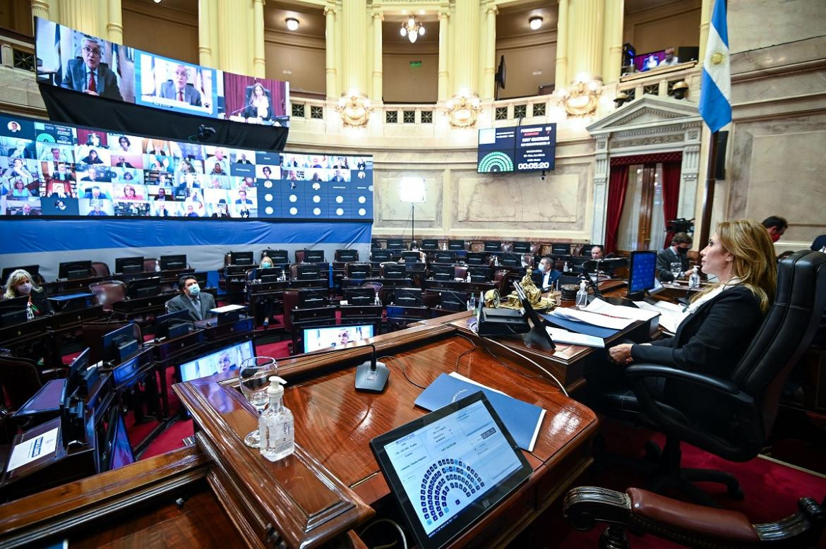 Senado de la Nación, Congreso, Foto NA