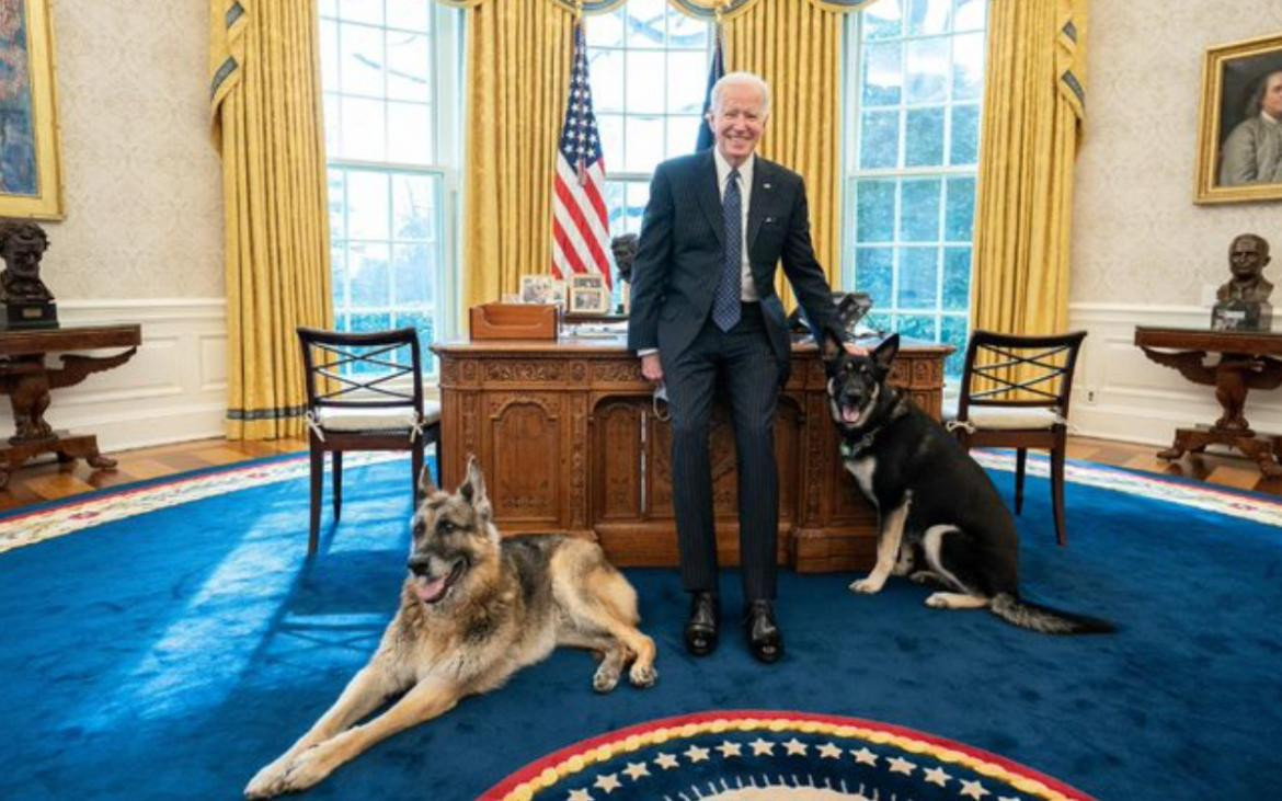 Joe Biden junto a sus perros