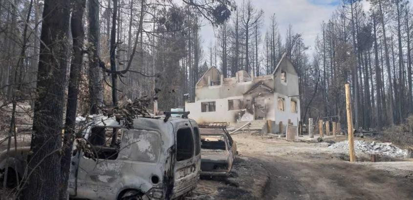 Secuelas de incendios en La Patagonia, NA