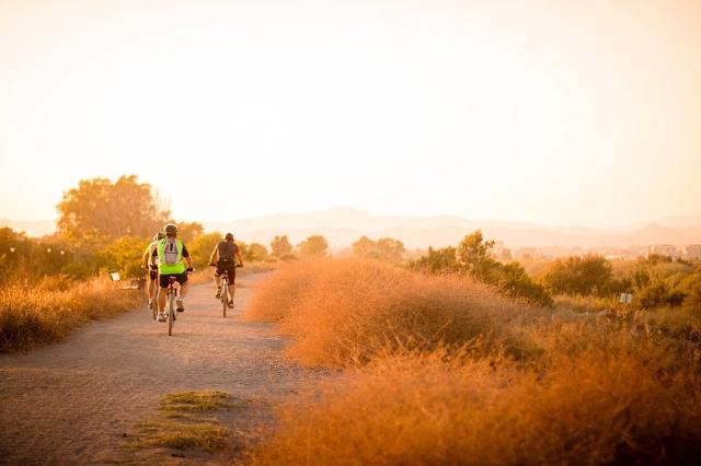 Día Mundial de la Bicicleta