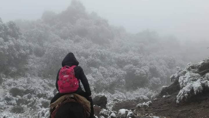 Docente viajando en lomo de mula en San Juan, viral