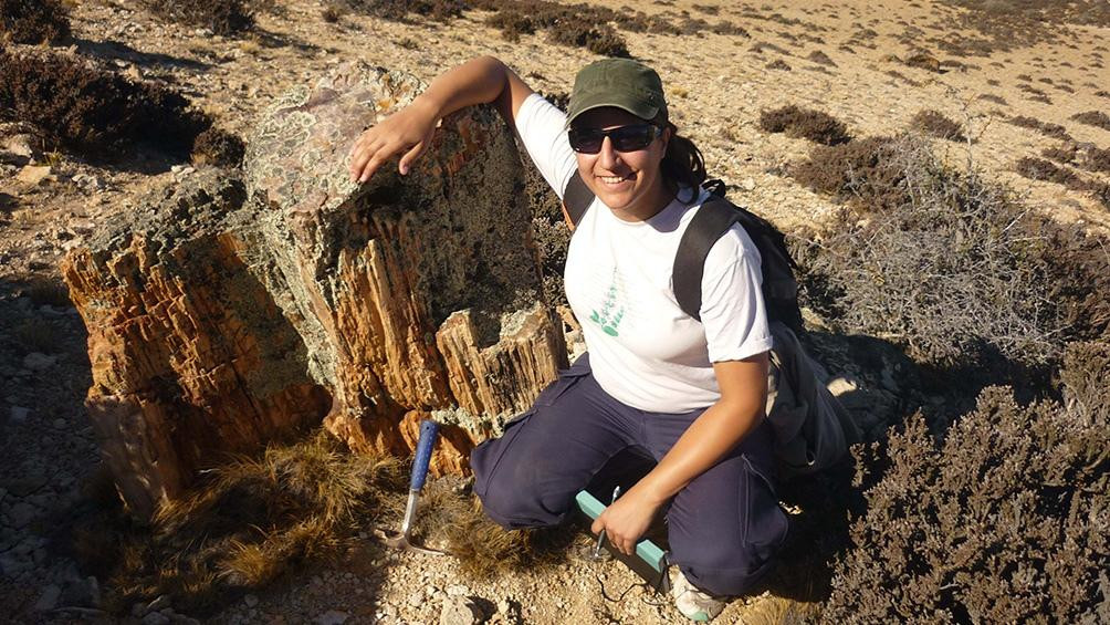 Identificación de plantas y hongos en Santa Cruz de épocas jurásicas