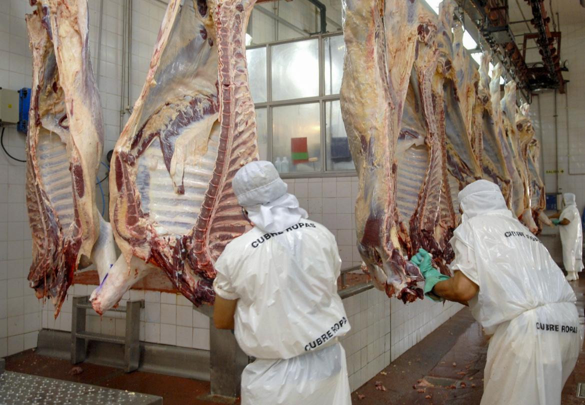 Exportación de carne, economía argentina, NA