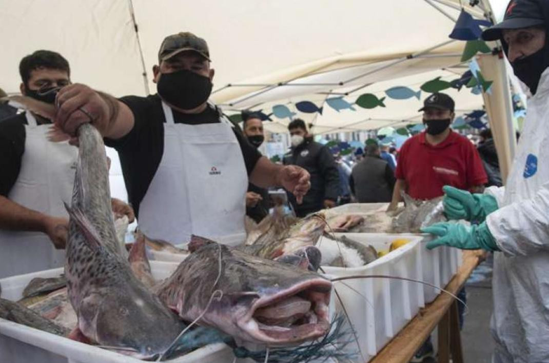 Pescadazo en el Congreso, NA