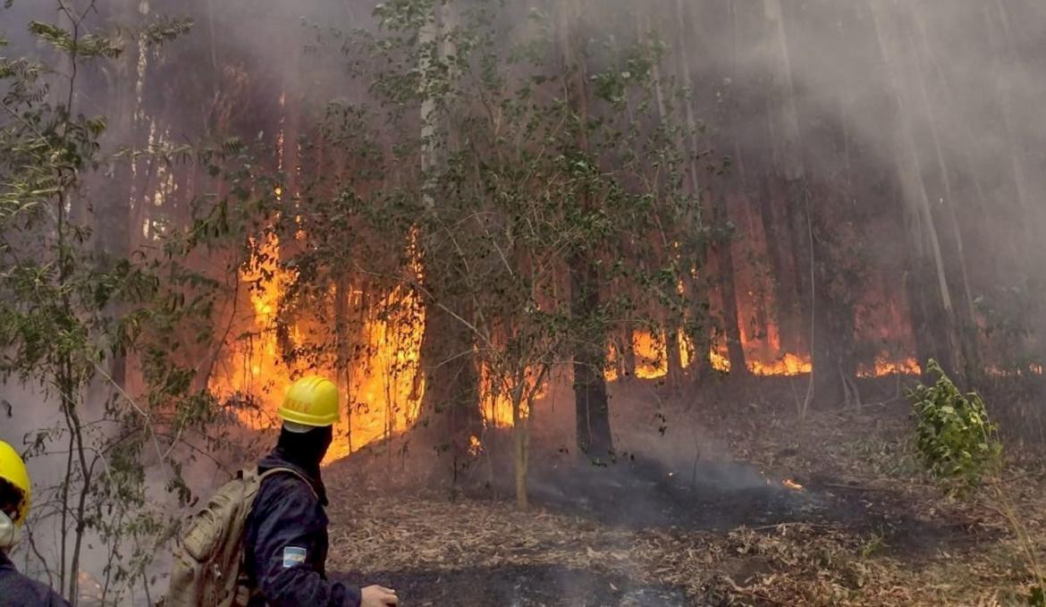 Incendio en el parque Pereyra Iraola