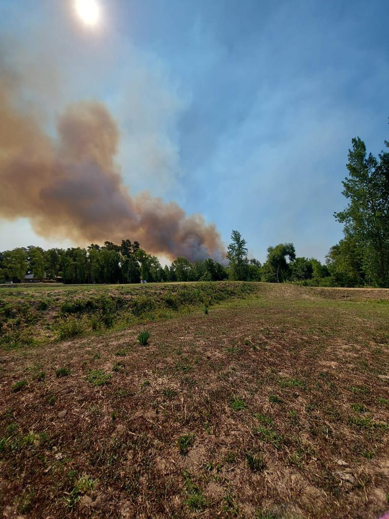 Brigadistas combaten incendios en el delta del Paraná