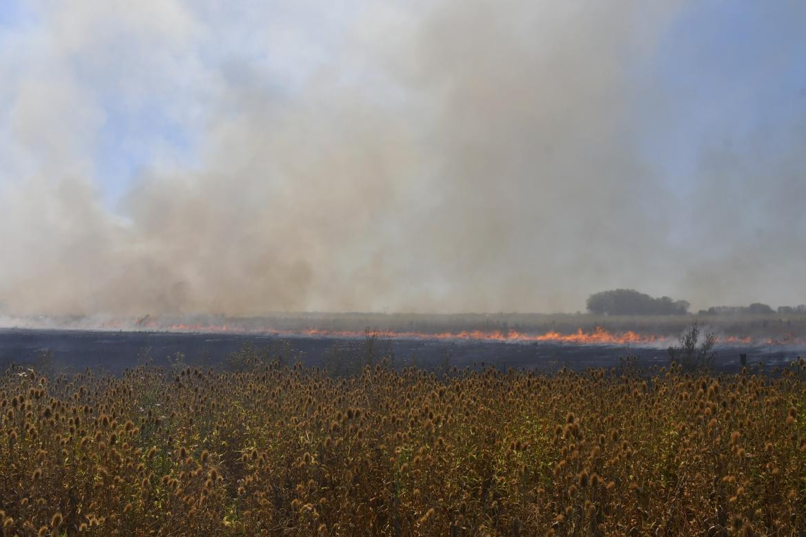 Incendios en el país