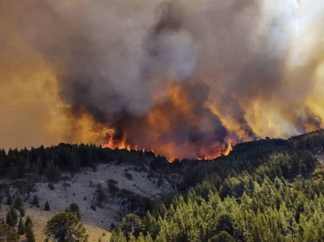 Estado de emergencia agropecuaria en Misiones, Córdoba y Mendoza