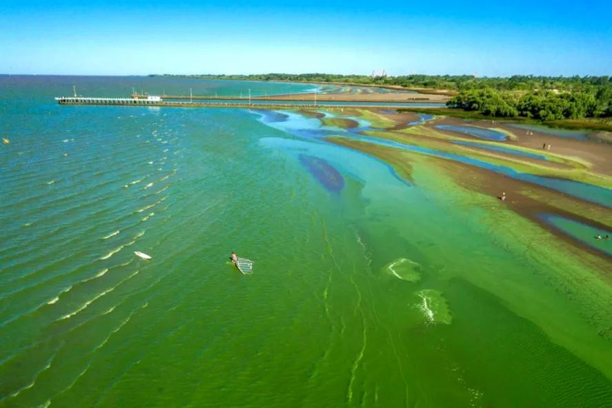 Alerta amarillo por la presencia de cianobacterias 