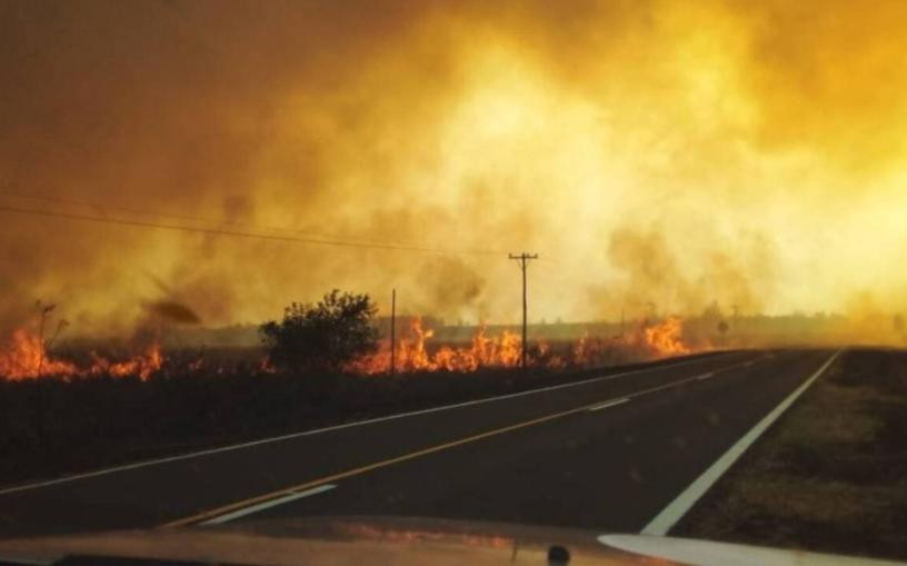 Incendios en Corrientes, foto NA