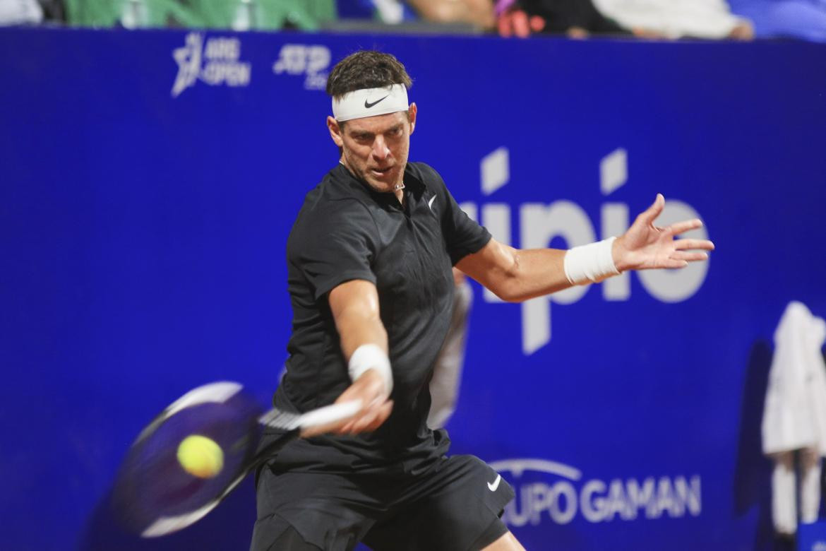 Juan Martín Del Potro, Argentina Open, foto NA