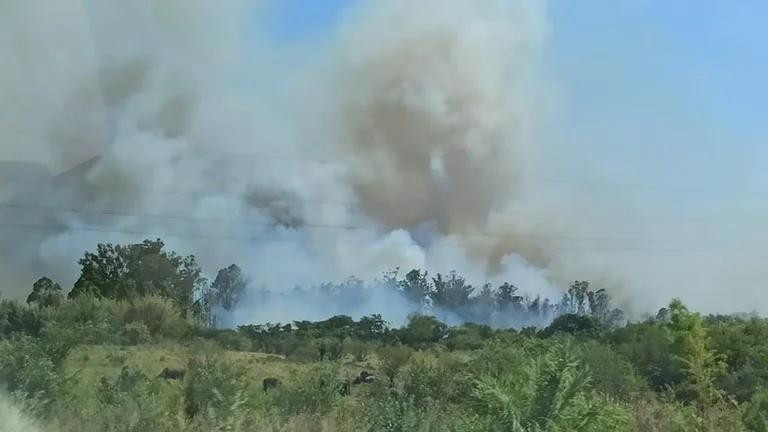 Incendios en Corrientes, foto NA