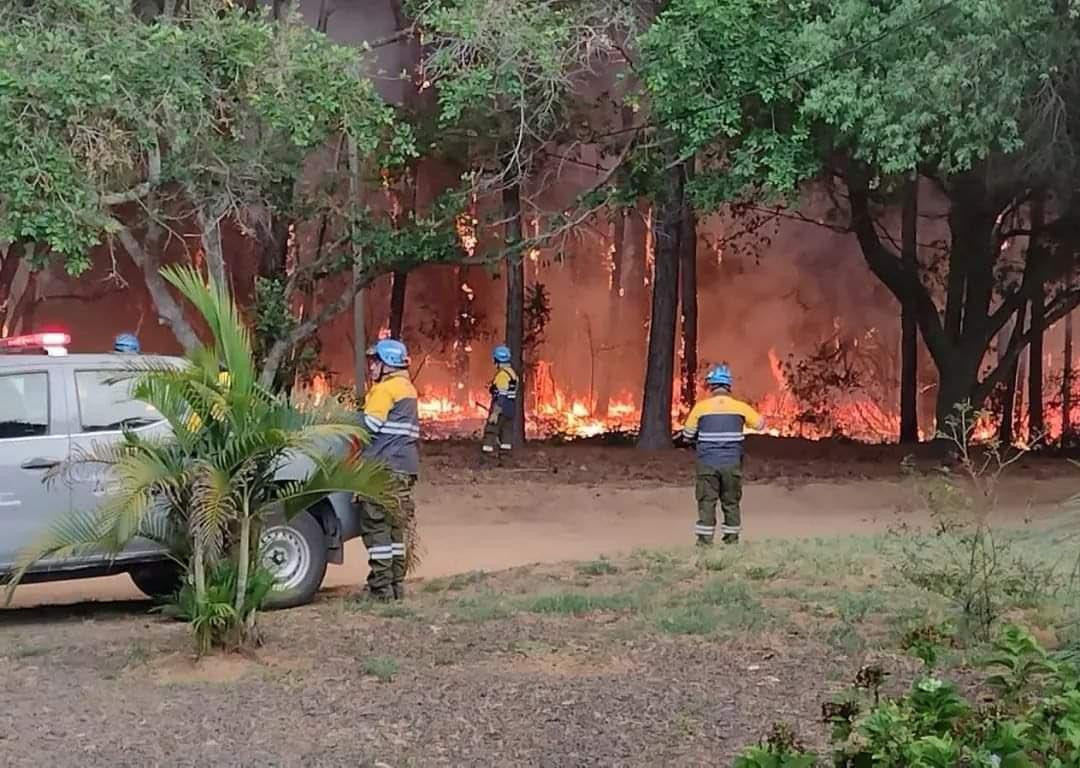 Incendios en Corrientes