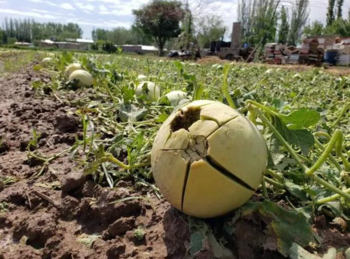 Emergencia agropecuaria