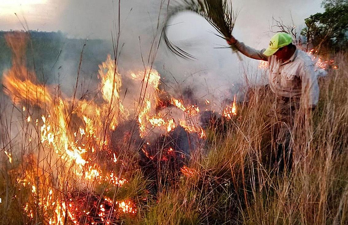 Incendios en Corrientes, Agencia NA