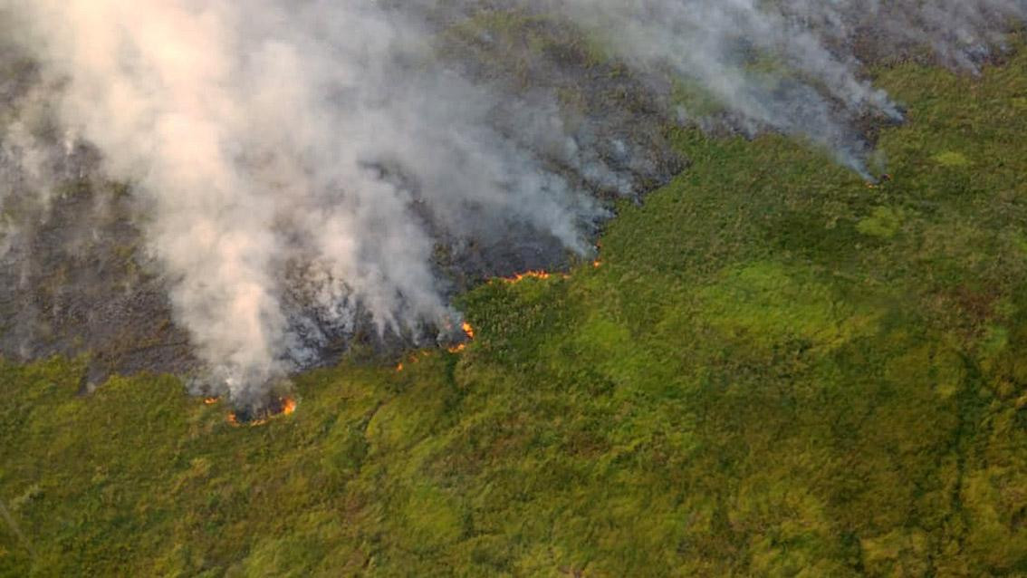 Incendios en Corrientes, foto NA