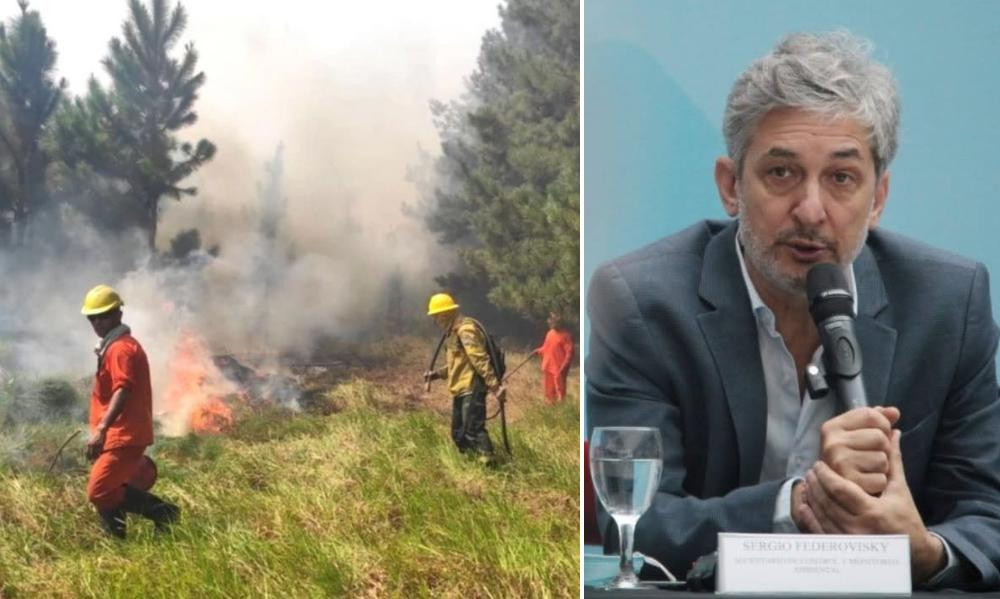 Sergio Federovisky, incendios en Corrientes, NA