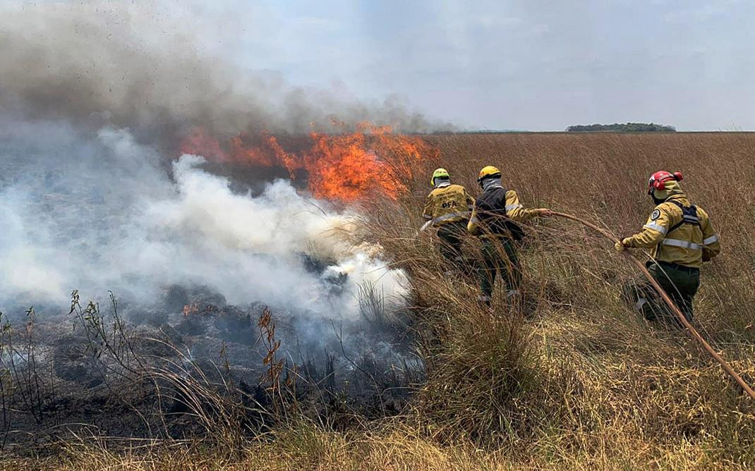 Incendios en Corrientes, NA