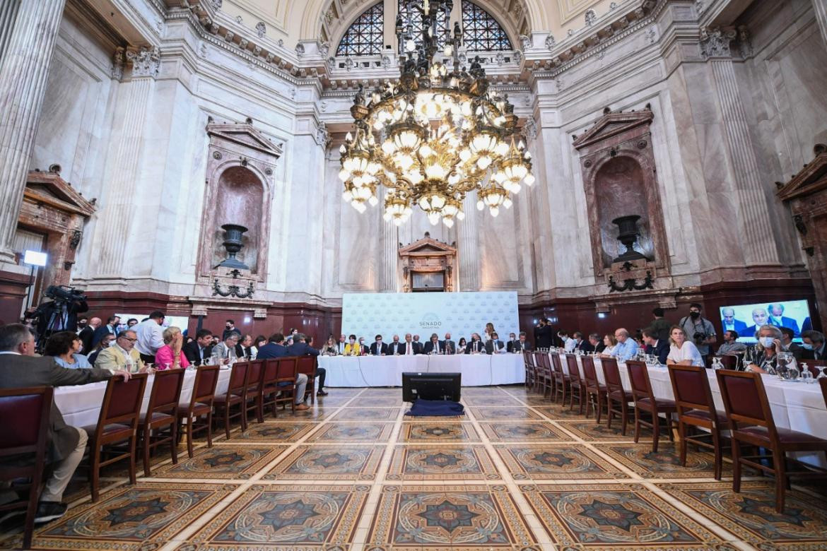 Debate Senado FMI