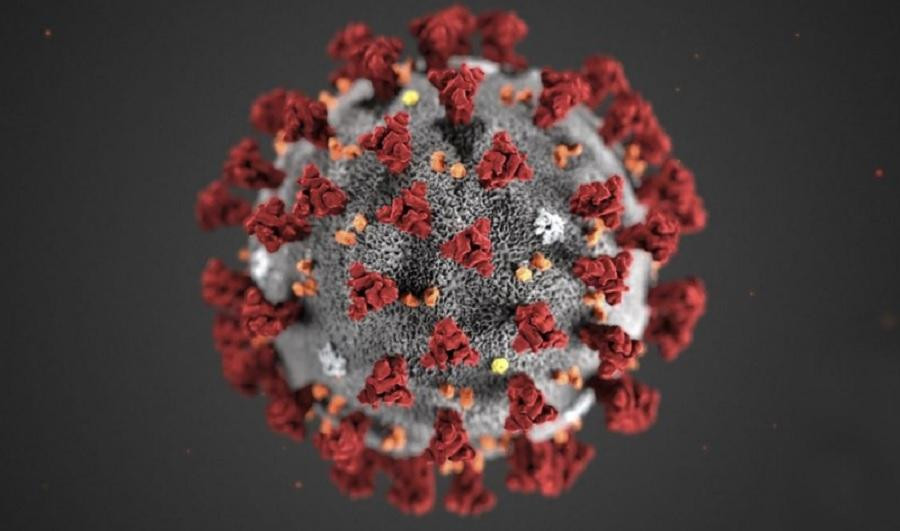 Coronavirus en el mundo