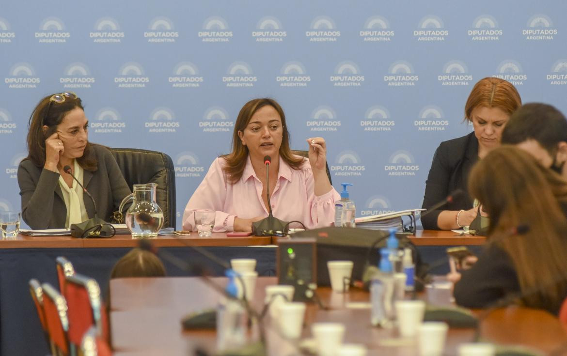 Cecilia Moreau, diputada sobre la ley de Alquileres de la comisión de Legislación General. Foto NA: