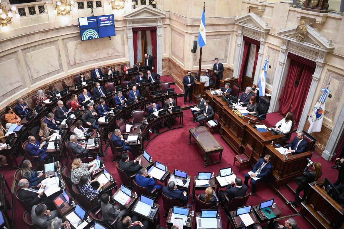 Senado, Congreso, foto NA