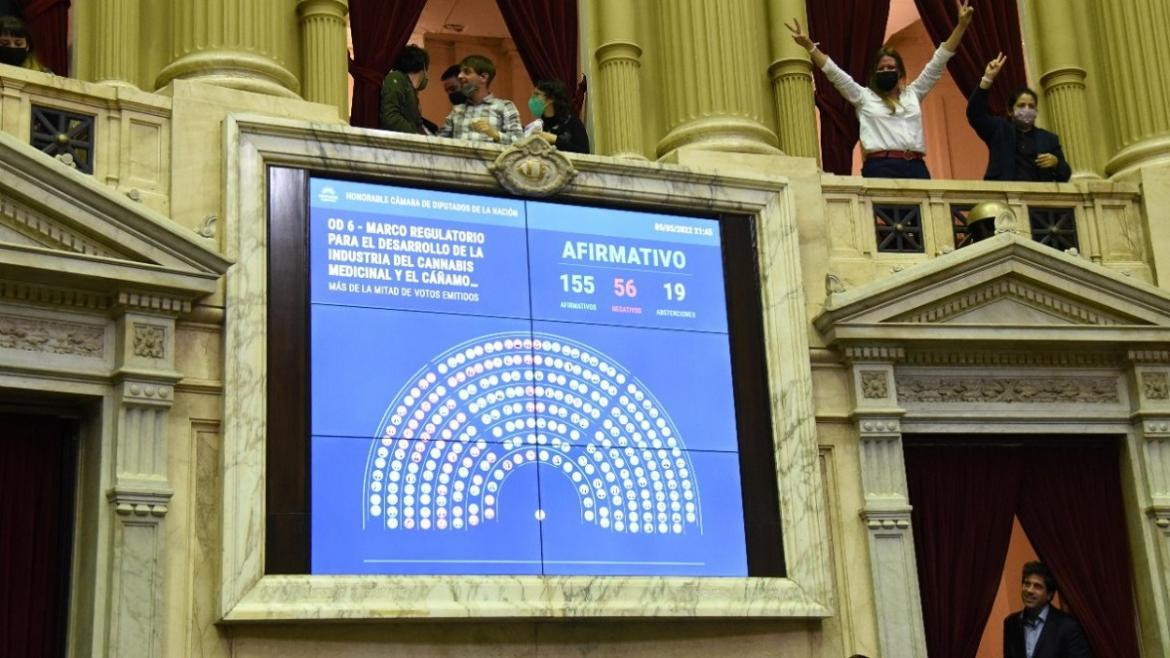 Diputados aprobó la ley que regula la industria del cannabis medicinal