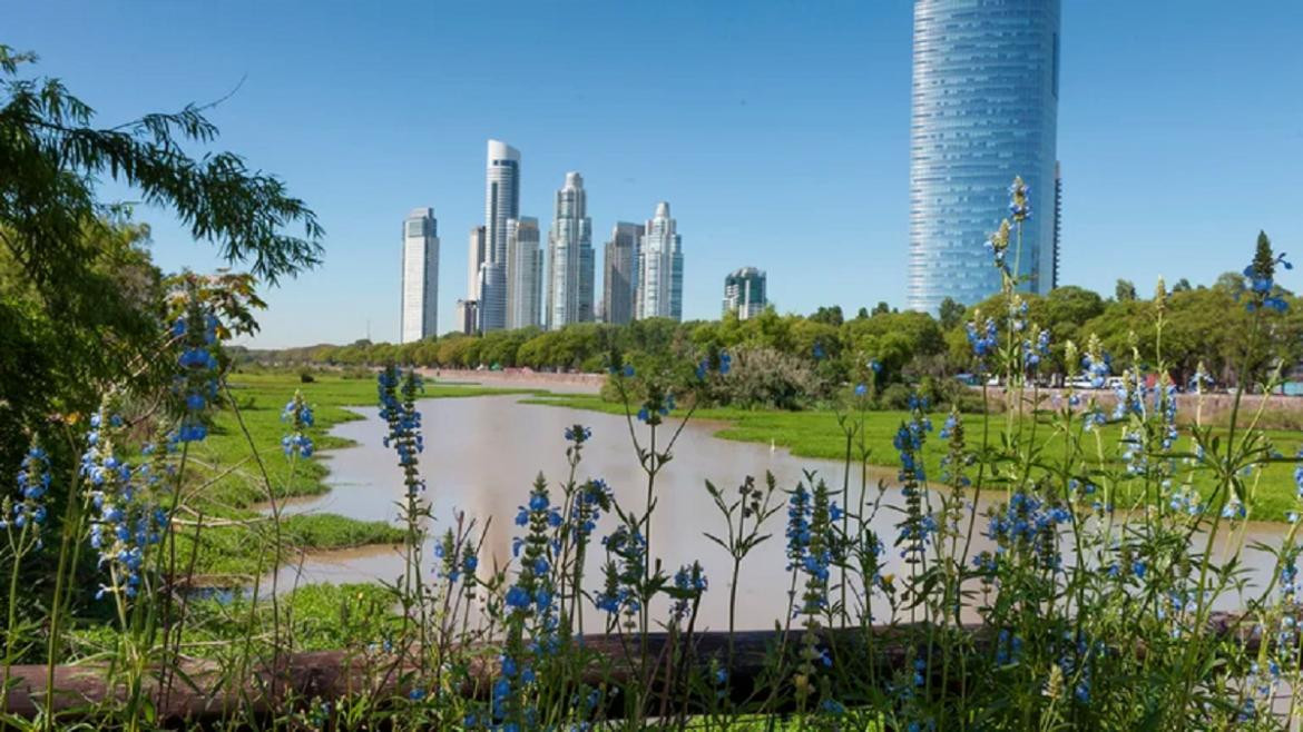 Reserva ecológica de la Ciudad de Buenos Aires. Foto: NA.