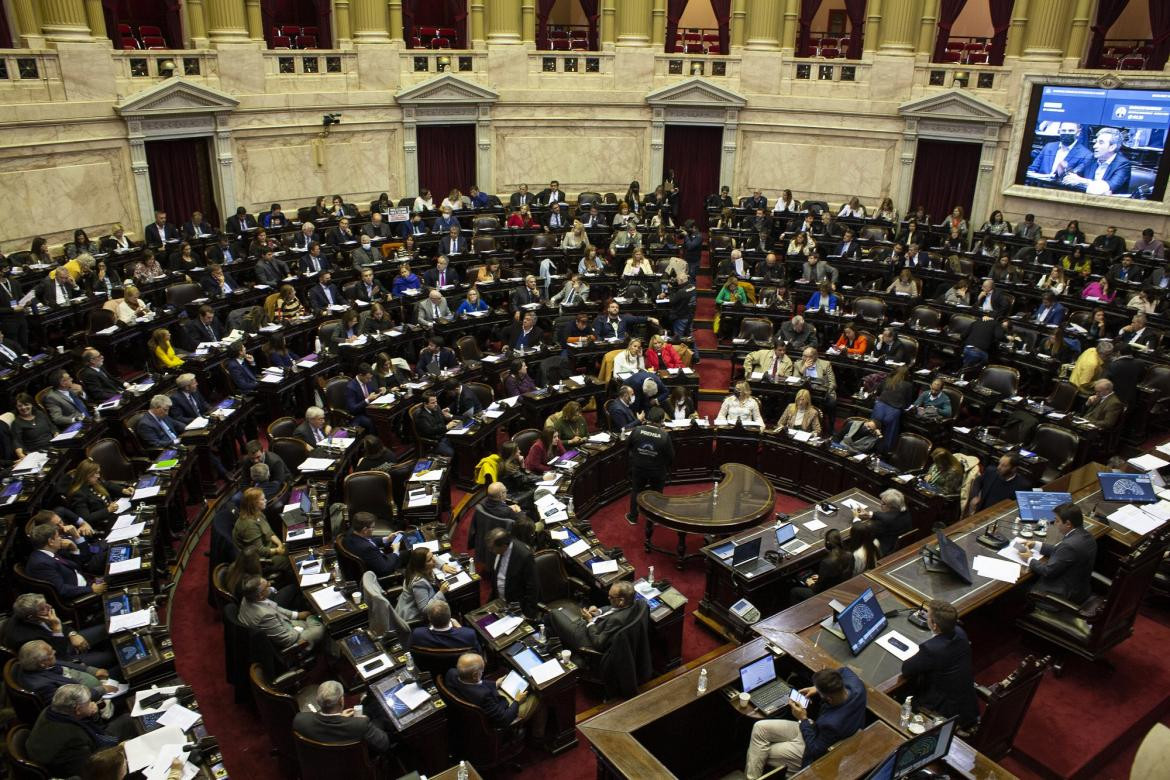 Diputados, Congreso, NA