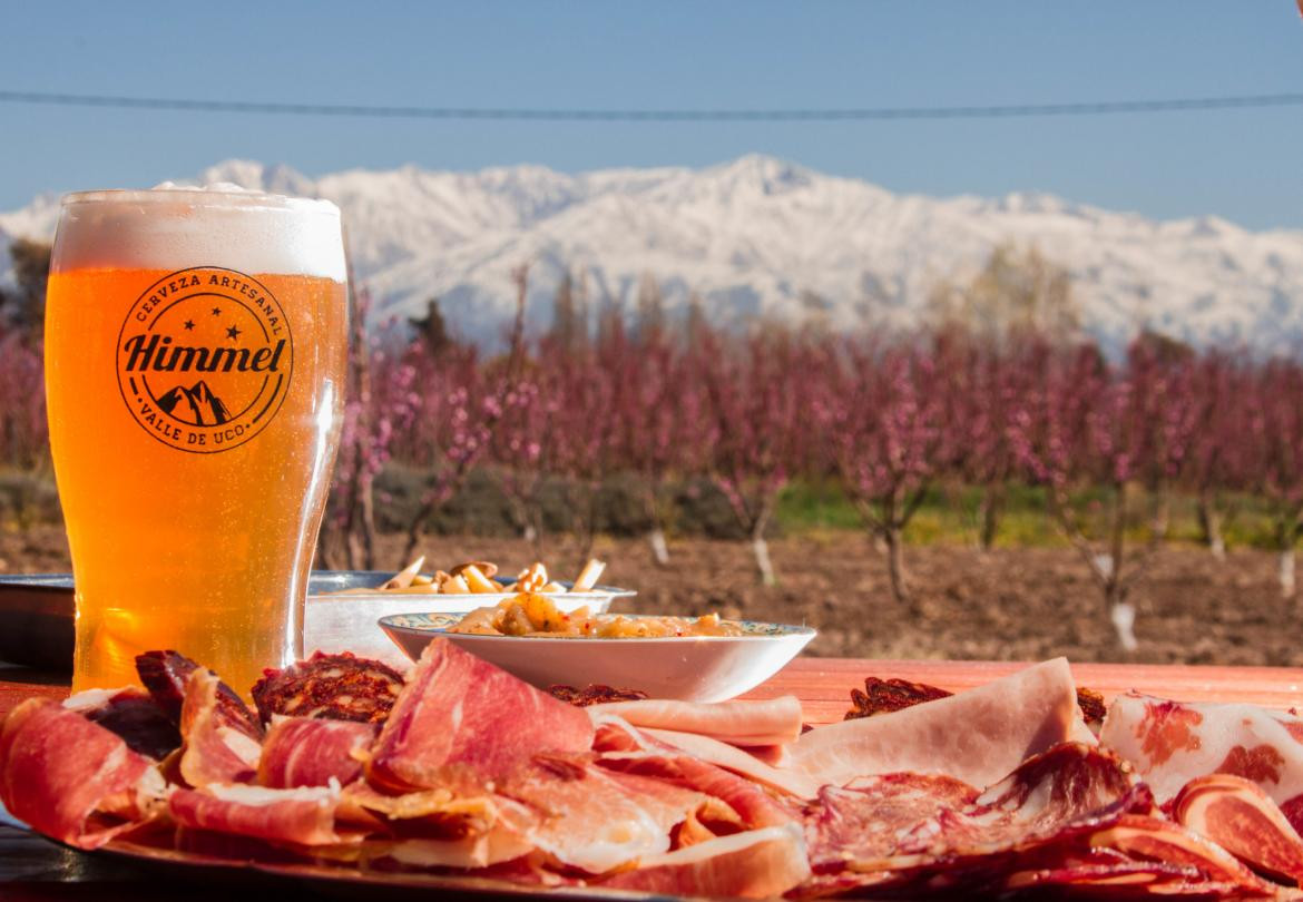 Ruta de la cerveza. Mendoza