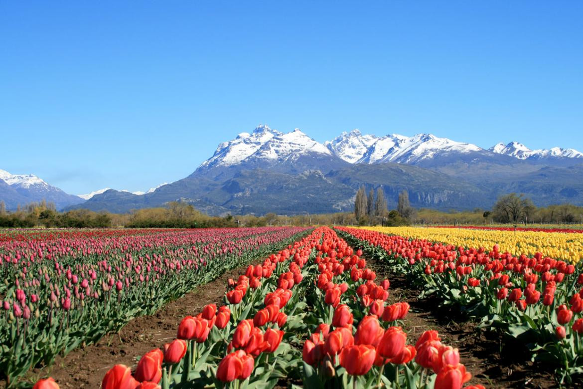 Trevelin, Chubut. Foto: turismo Chubut.