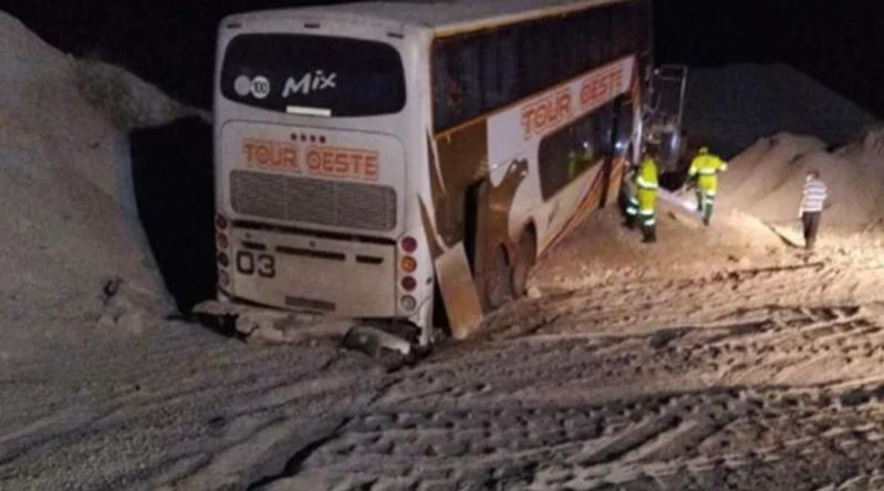 La tragedia fatal ourrió en la noche del domingo en una ruta del oeste de Brasil. Foto: NA.