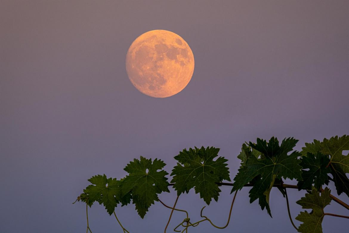 Superluna de ciervo. Foto: EFE.